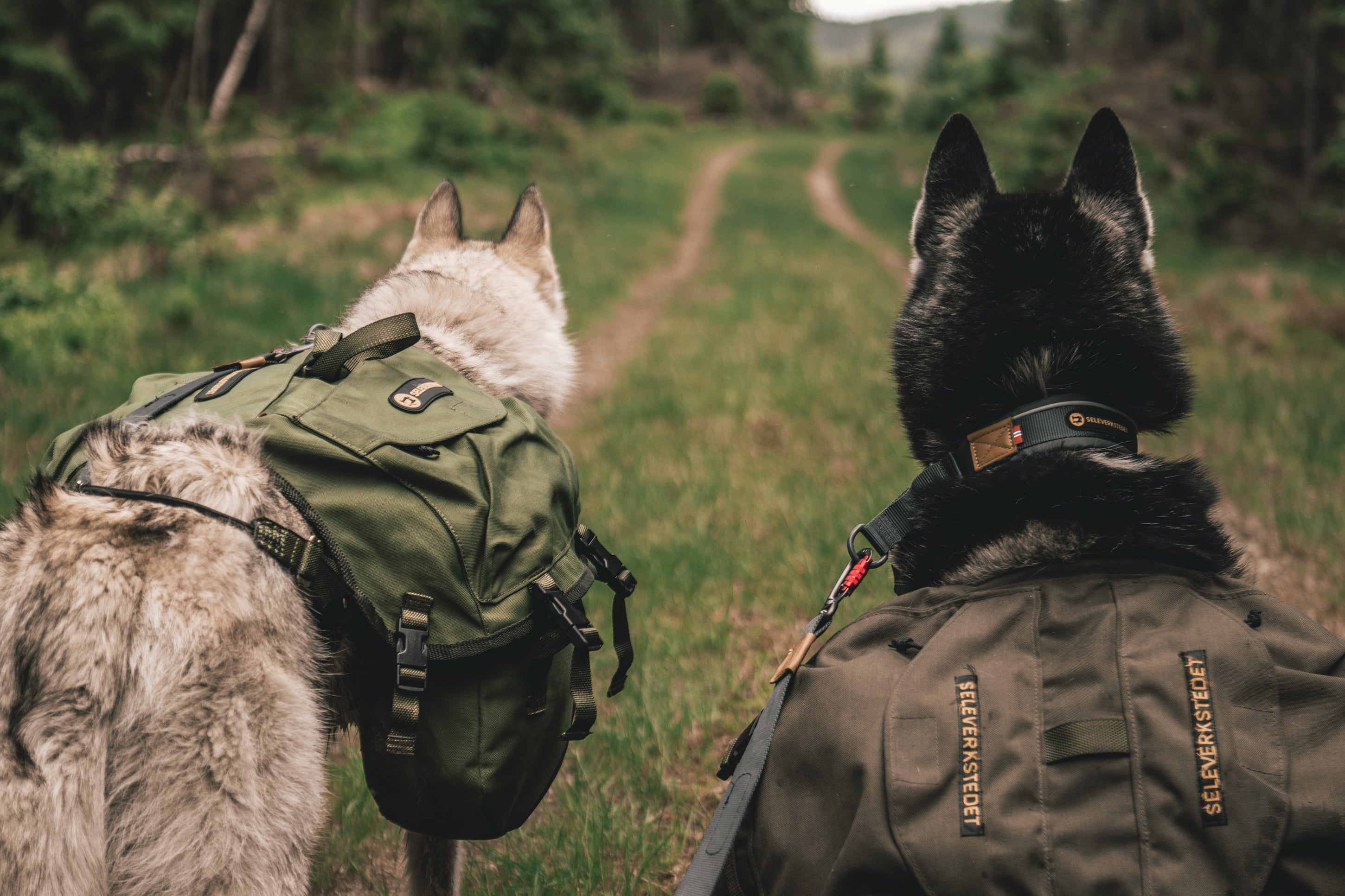 Tilbehør og reservedeler