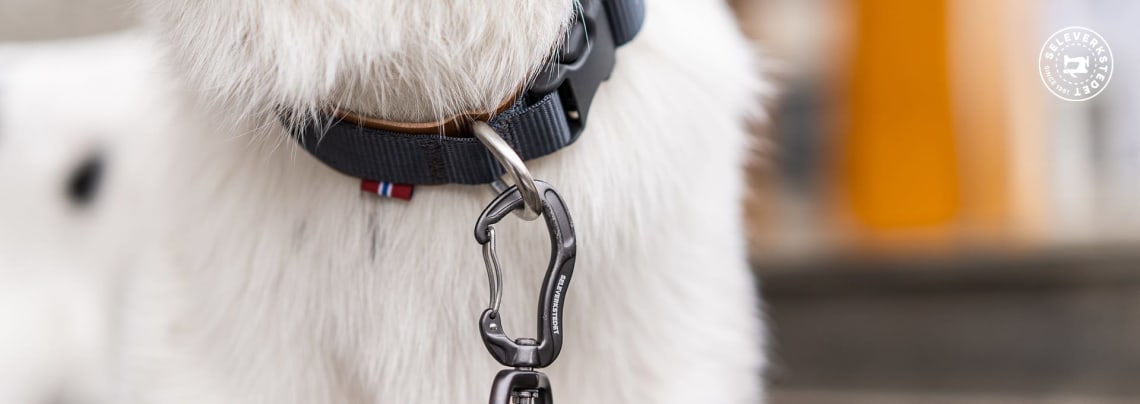 Hundehalsbånd