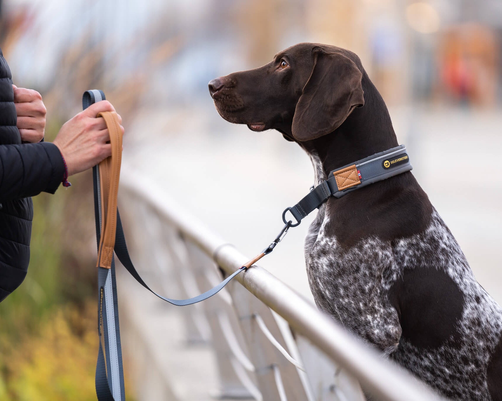 Seleverkstedet Link dog lead 180cm