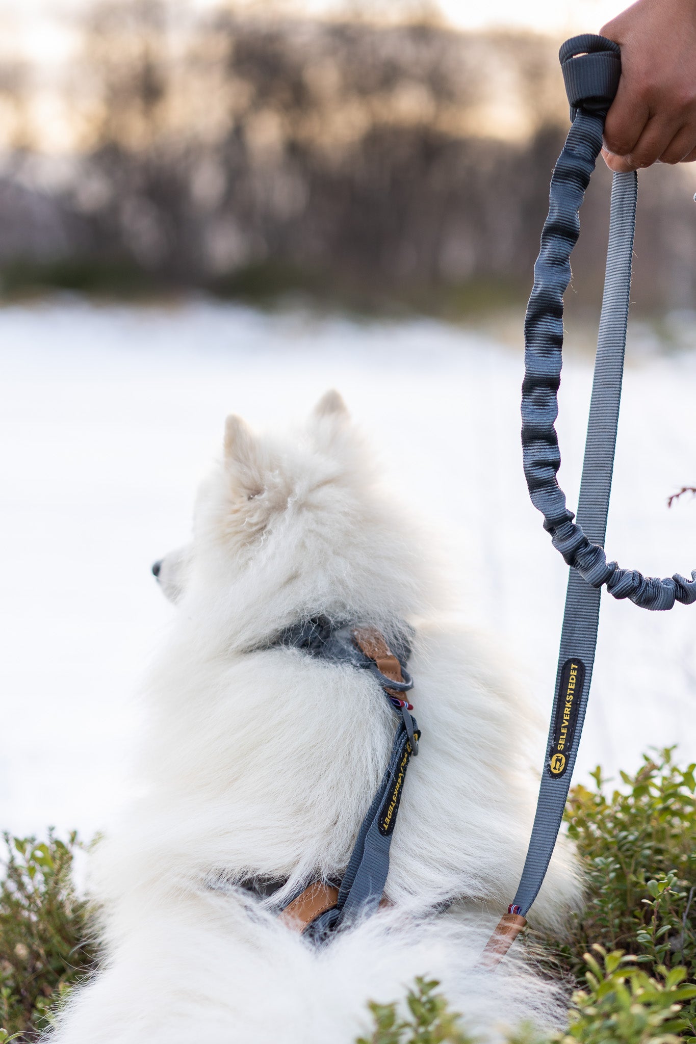 Seleverkstedet Trekreg dog harness XS
