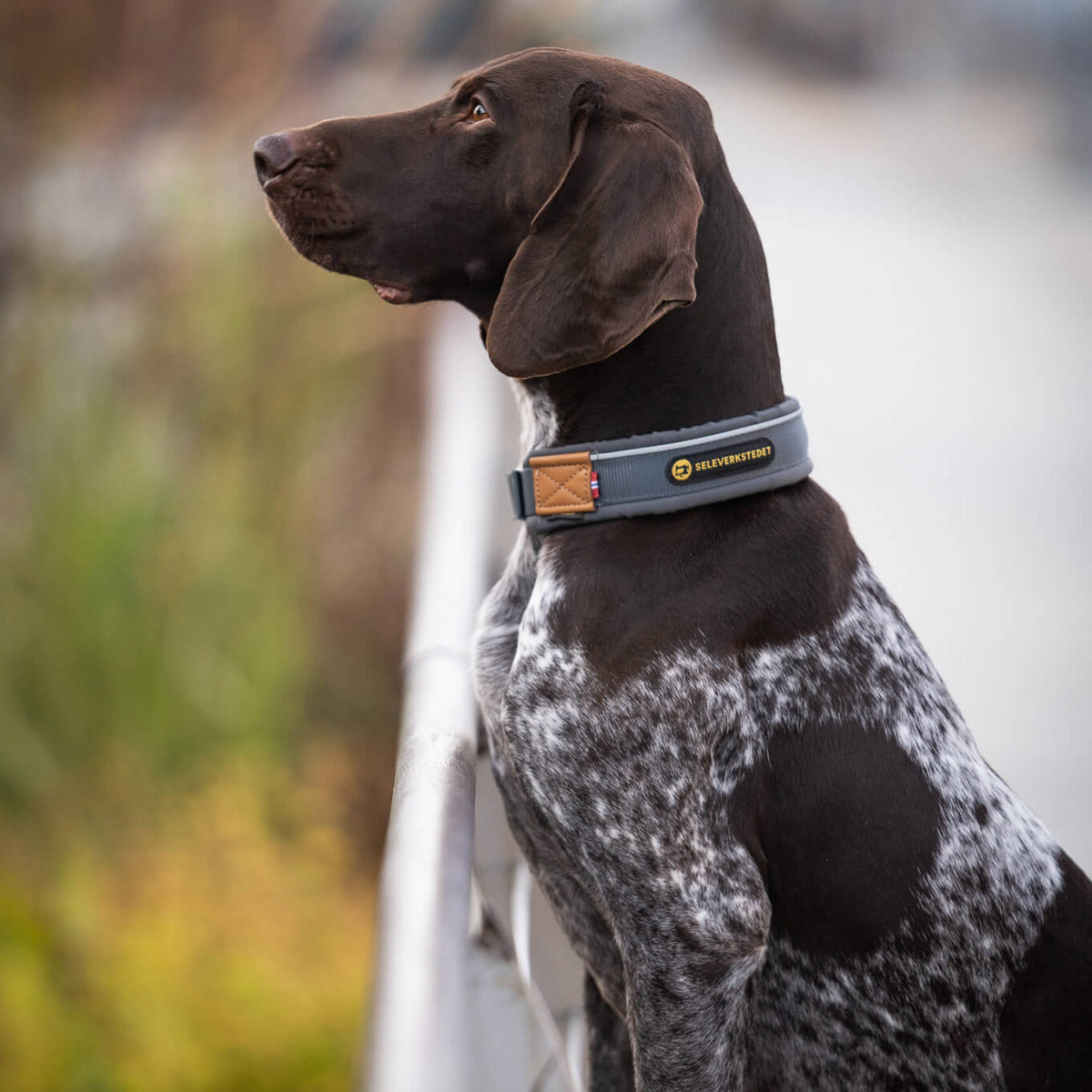 Harness workshop Unify dog ​​collar L