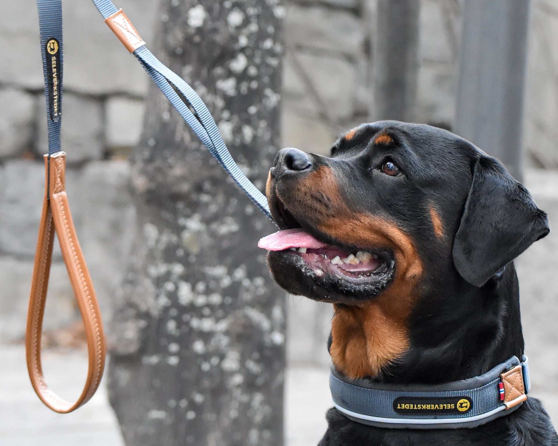 Seleverkstedet Link Dog lead 15mm - 150