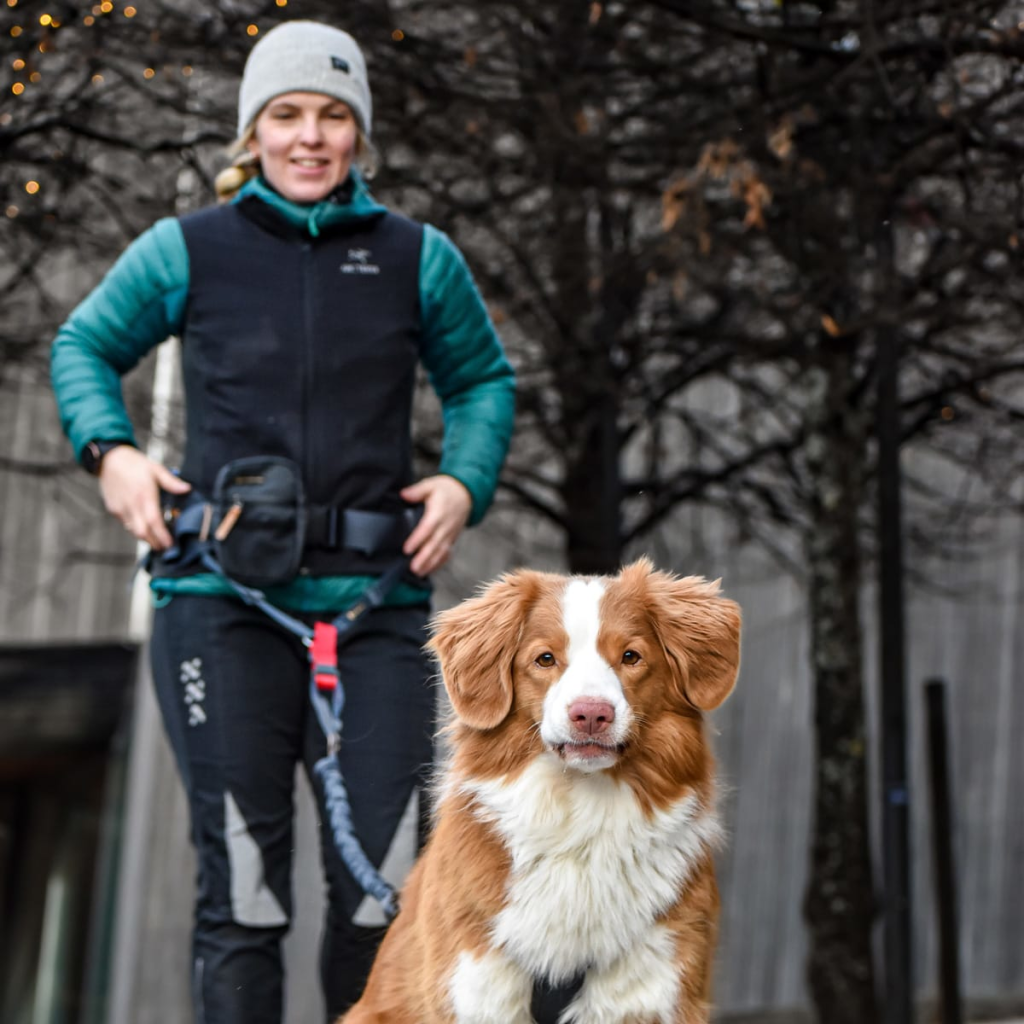 Seleverkstedet Hip Pack höftväska