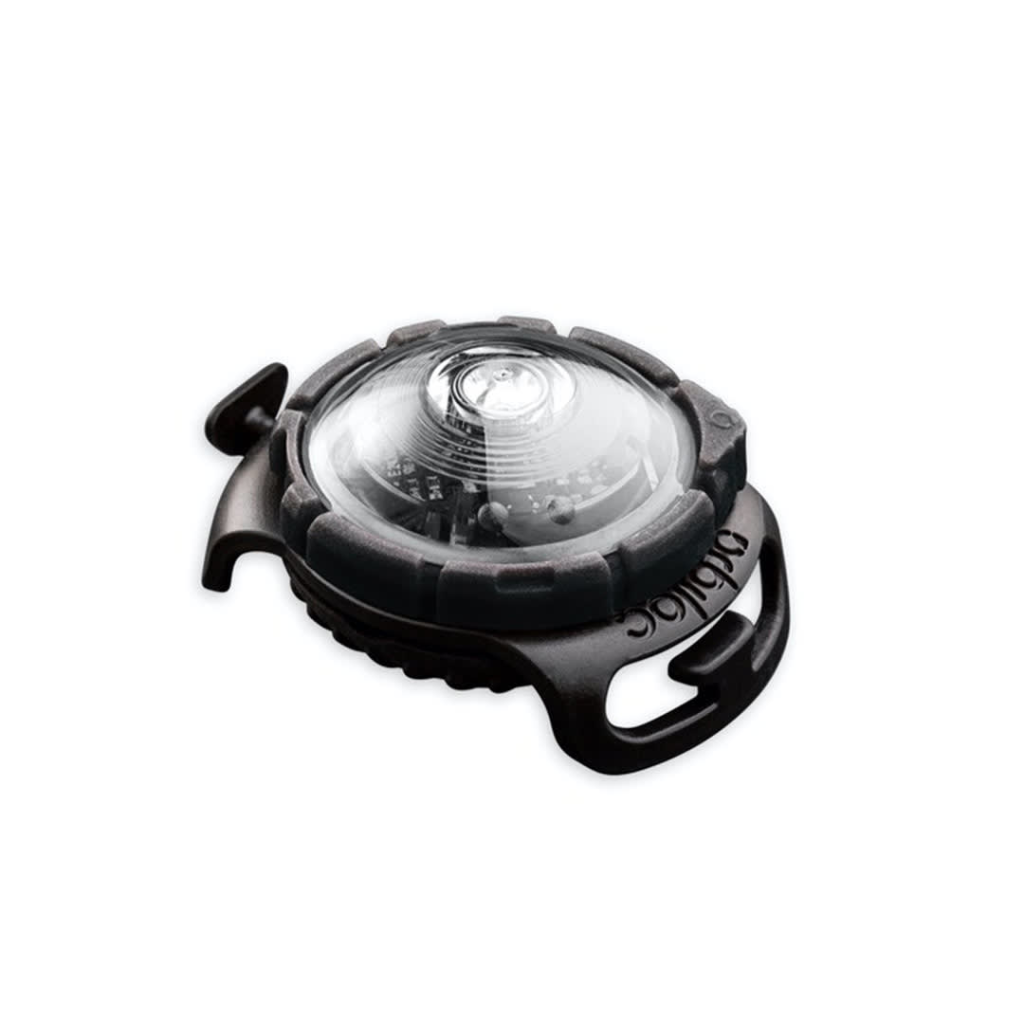 Orbiloc Dog Dual hvit