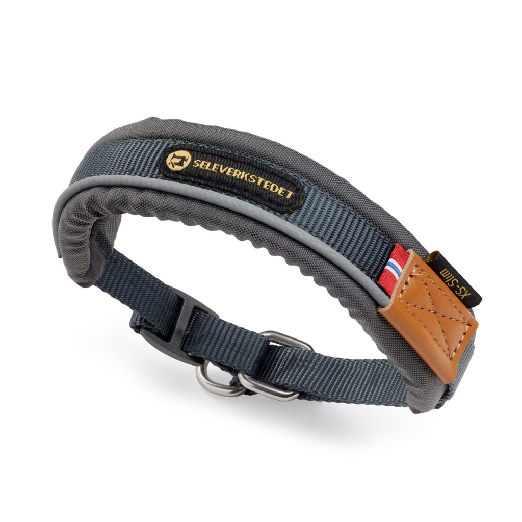 Harness workshop Unify dog ​​Collar dog collar
